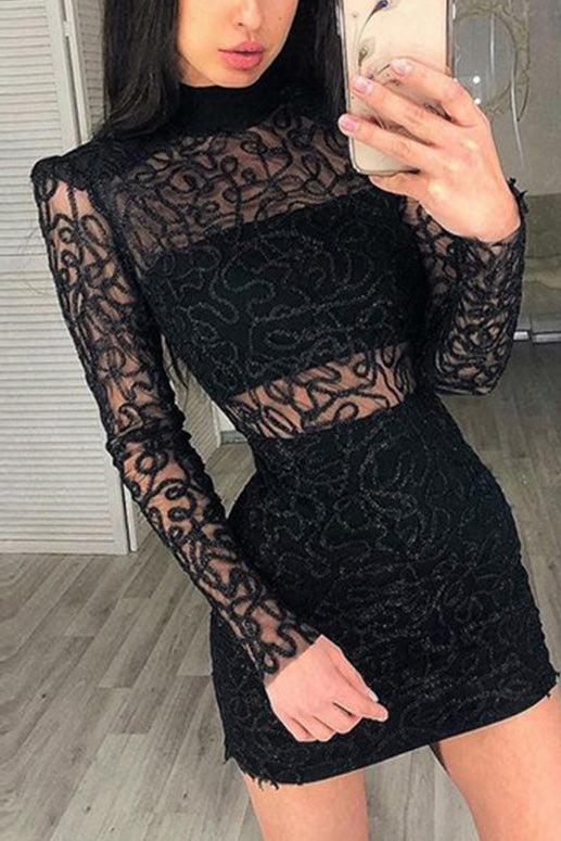 Black Lace Turtleneck See Through Bodycon Dress