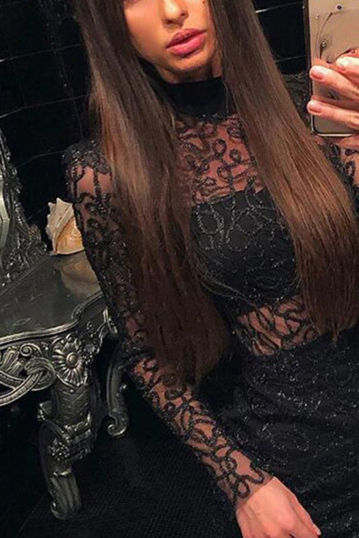 Black Lace Turtleneck See Through Bodycon Dress