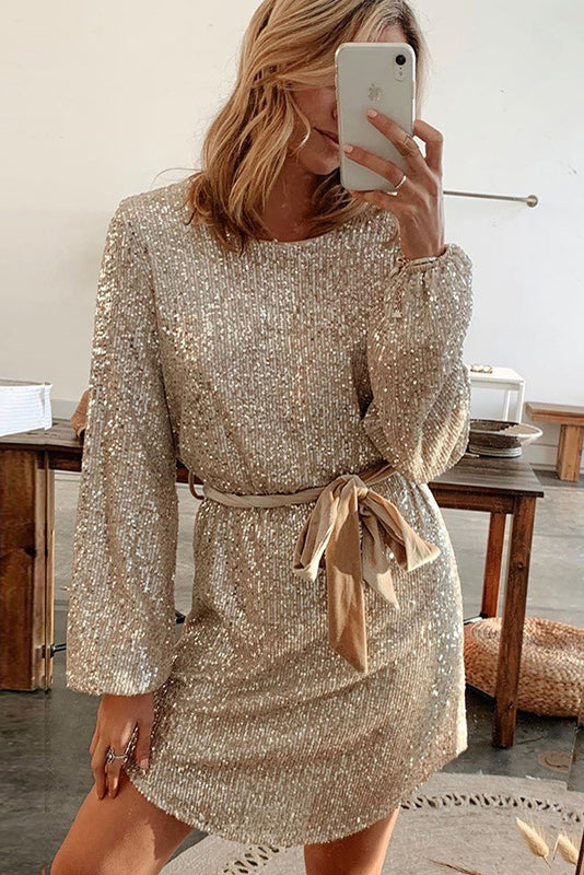 Long Sleeve Boat Neck Sequined Party Mini Dress