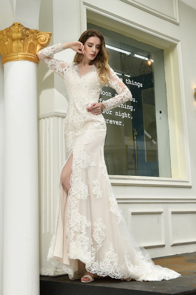 Delicate V Neck High Split Long Sleevess Lace Wedding Dress With Court Train